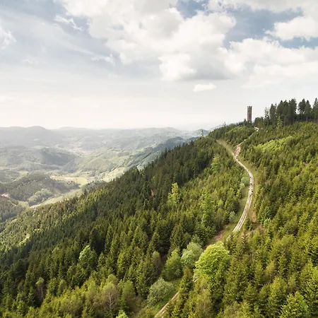 Gaestehaus 22 Gæstehus Baden-Baden