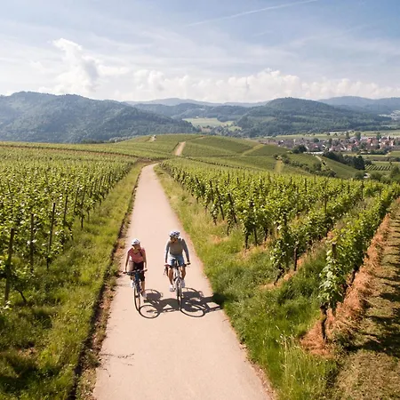 Gaestehaus 22 Gæstehus 3*